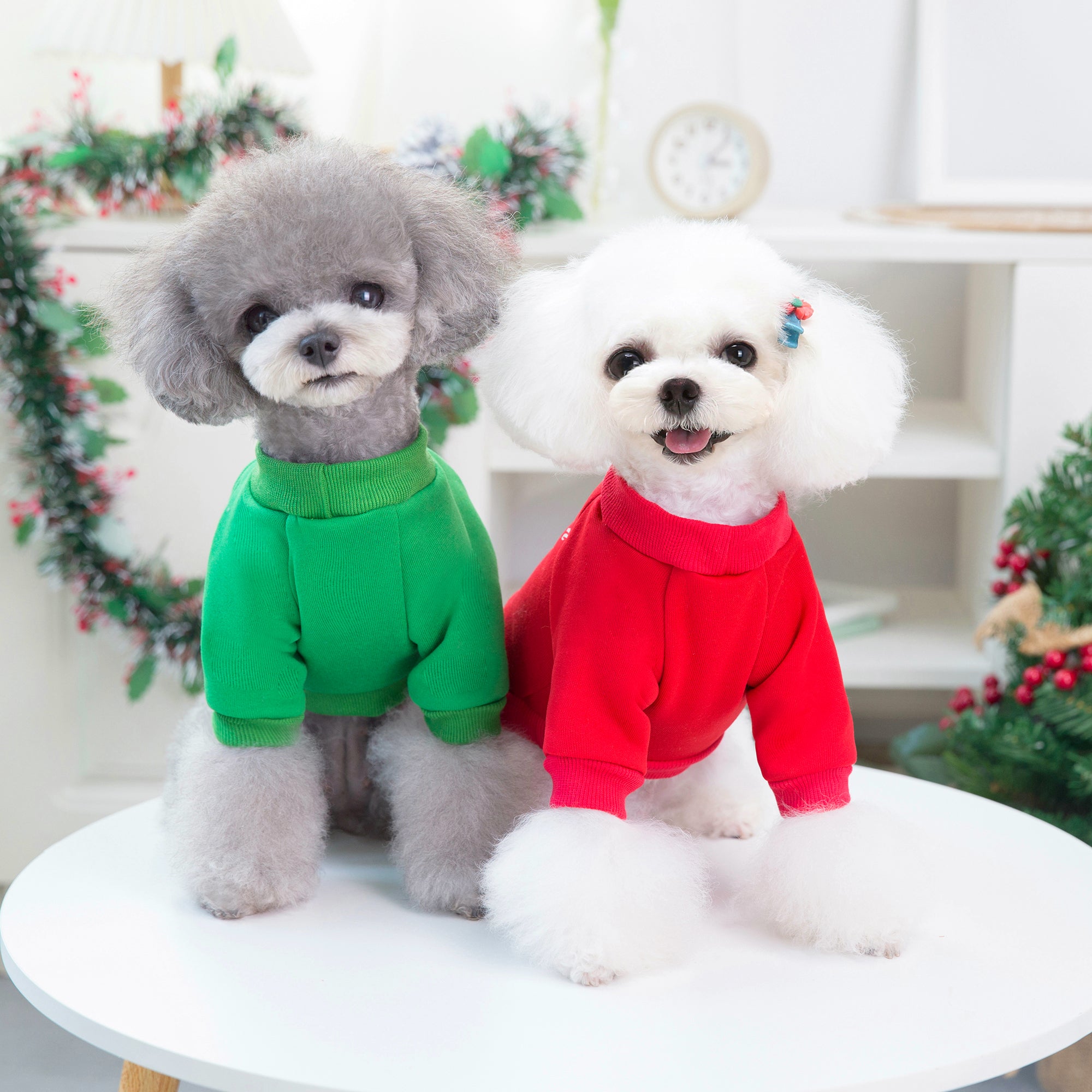 Christmas Dog Hoodie