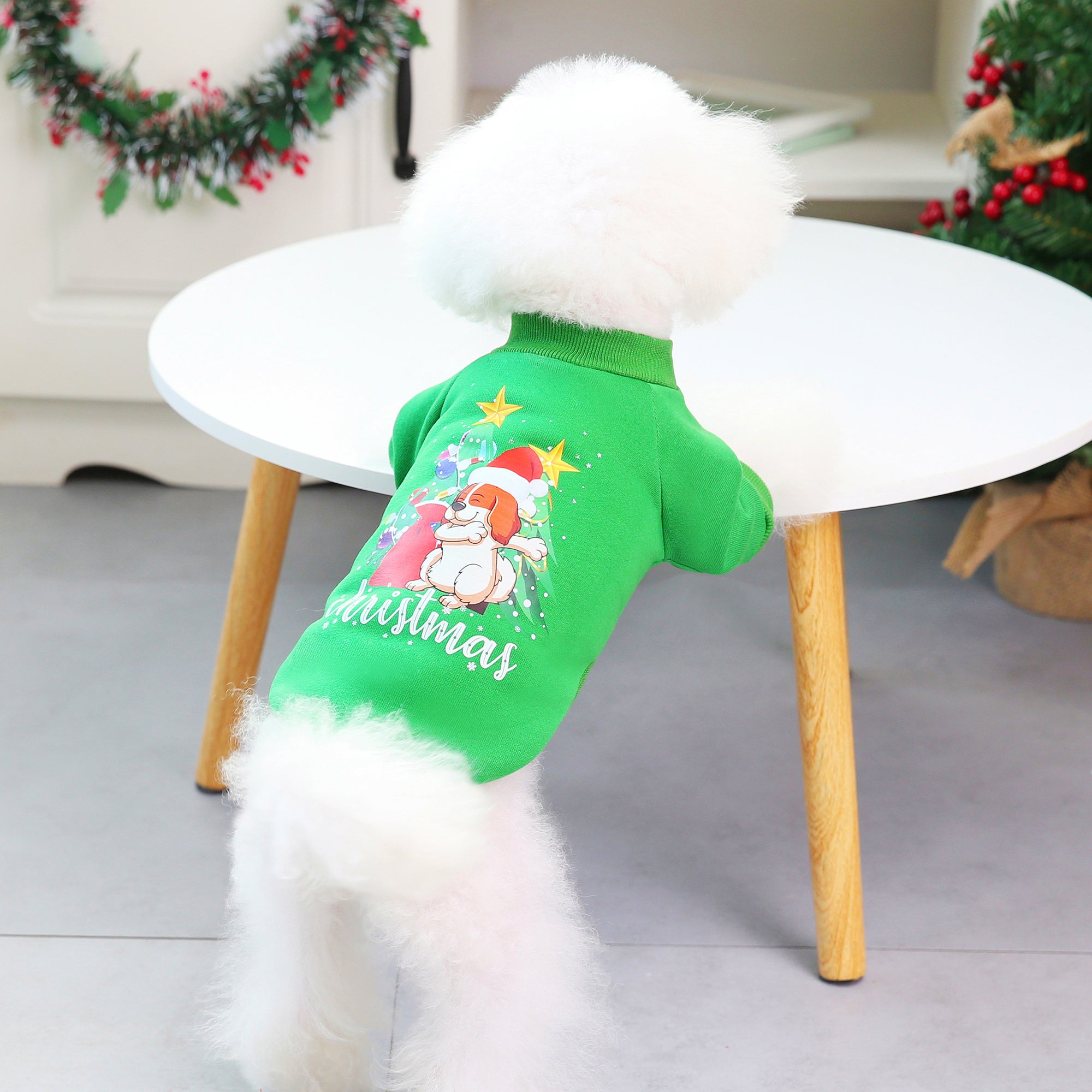 Christmas Dog Hoodie