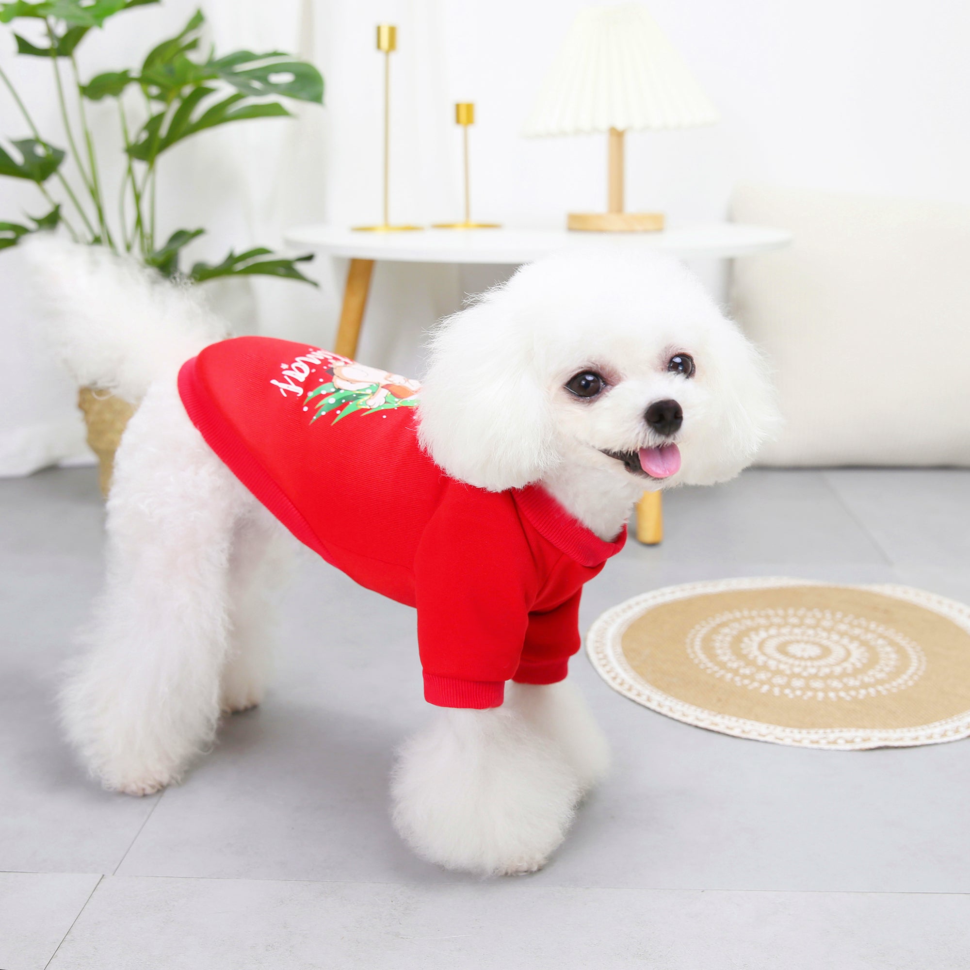 Christmas Dog Hoodie